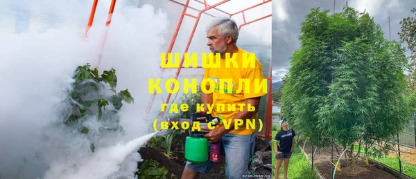 ГАЛЛЮЦИНОГЕННЫЕ ГРИБЫ Волосово