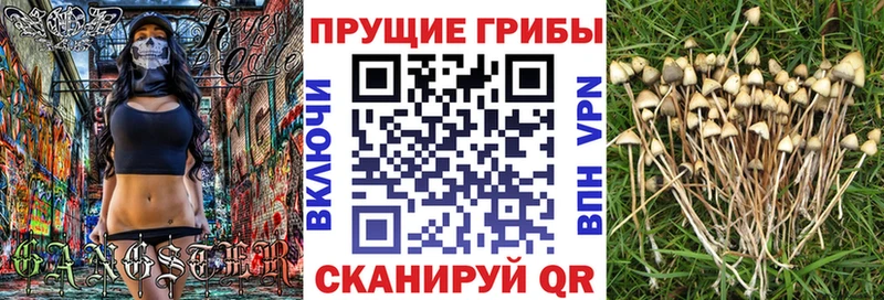 Купить закладки  Кудымкар  Галлюциногенные грибы Psilocybine cubensis 